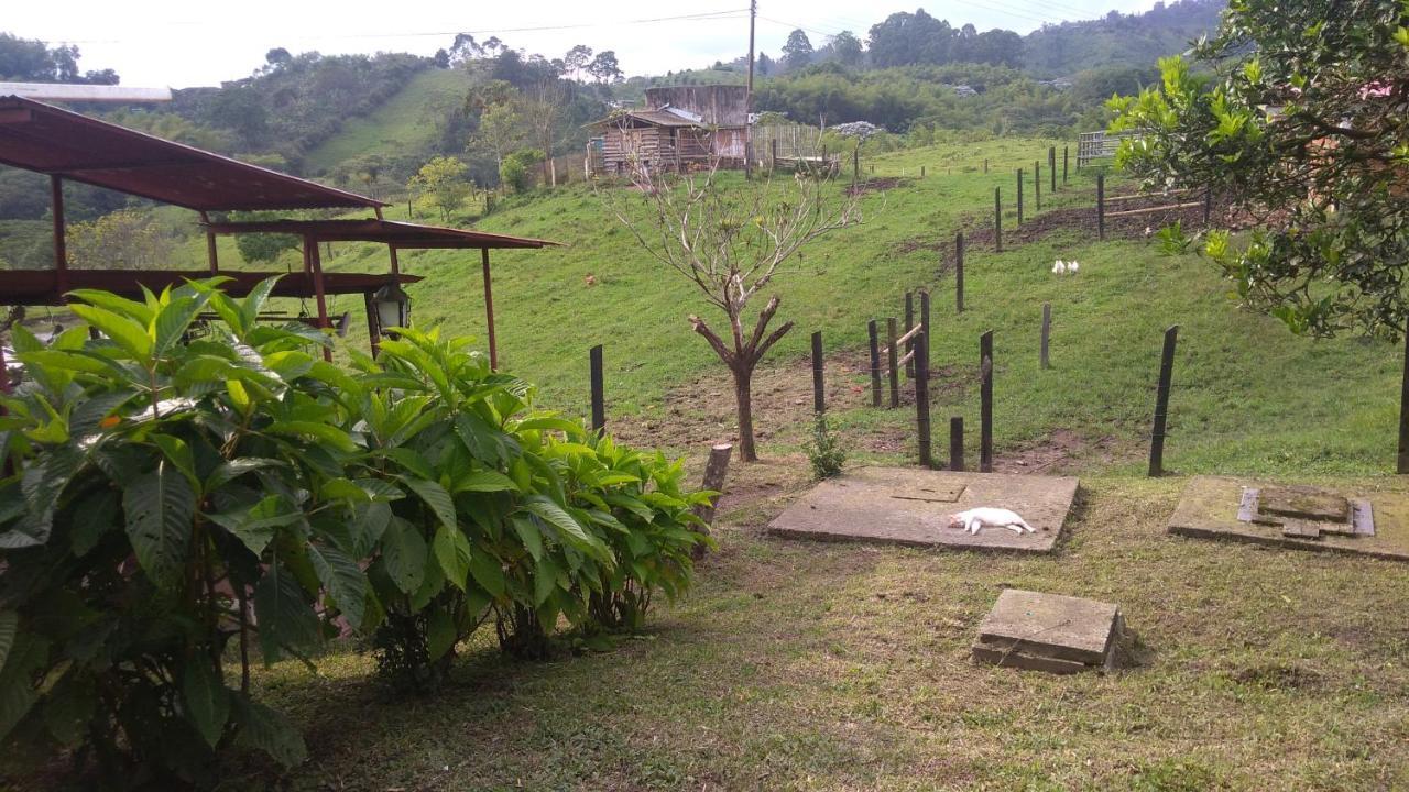 Rancho Ventura Villa Filandia Kültér fotó