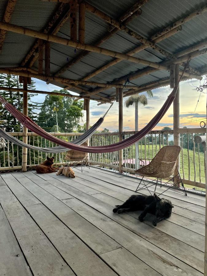 Rancho Ventura Villa Filandia Kültér fotó