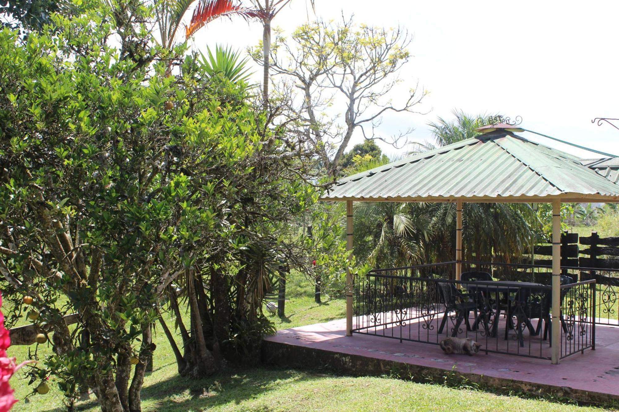 Rancho Ventura Villa Filandia Kültér fotó