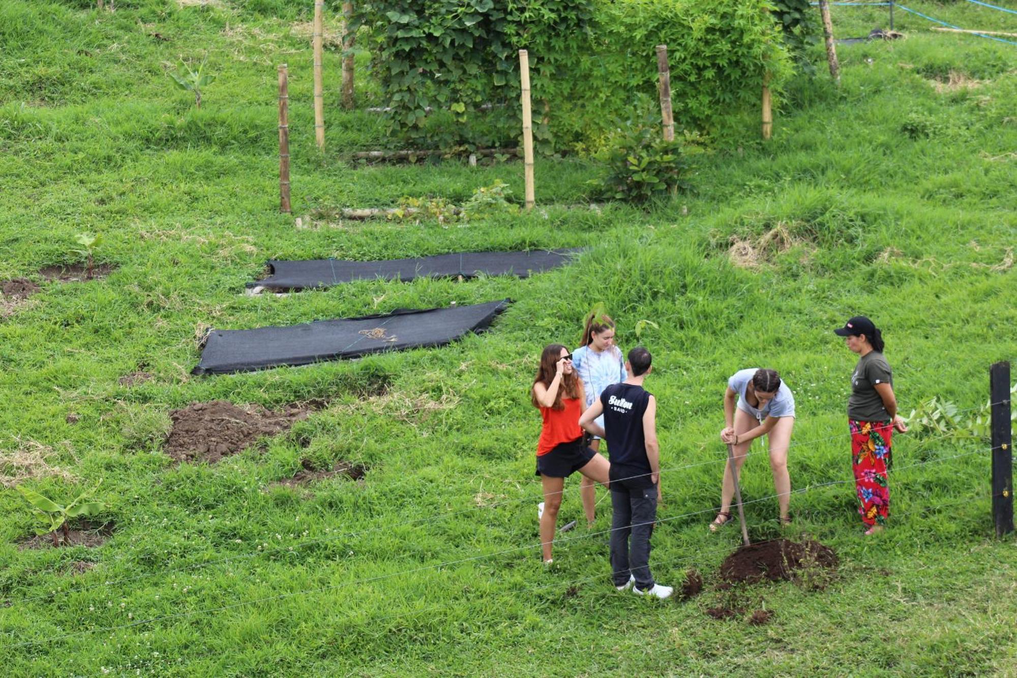 Rancho Ventura Villa Filandia Kültér fotó